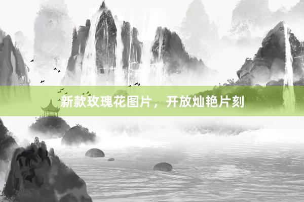 新款玫瑰花图片，开放灿艳片刻