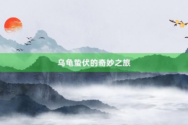 乌龟蛰伏的奇妙之旅