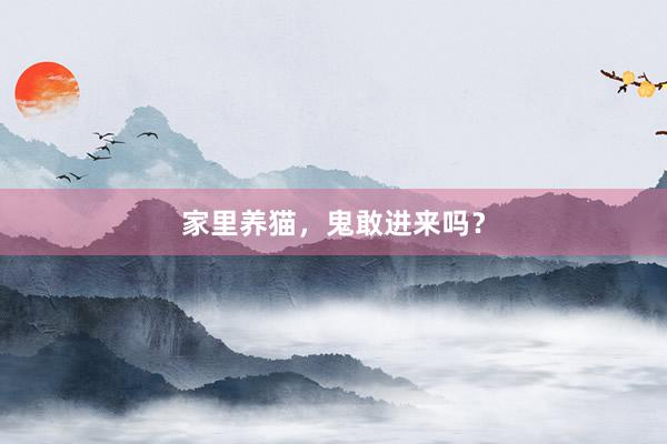 家里养猫，鬼敢进来吗？