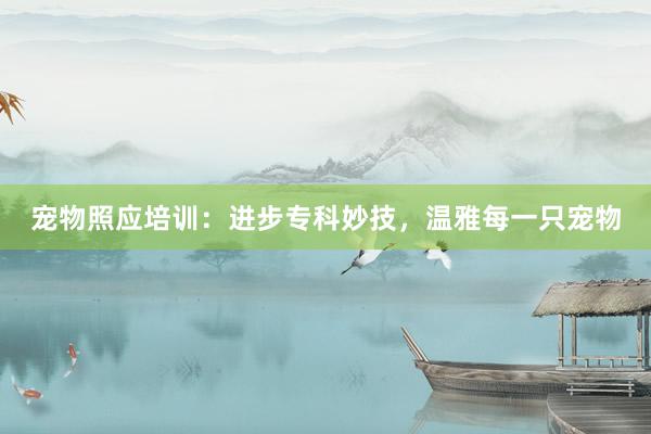 宠物照应培训：进步专科妙技，温雅每一只宠物